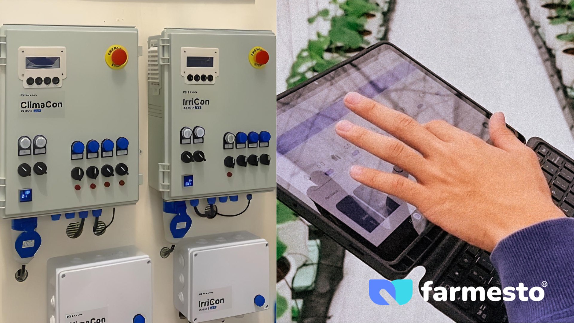 photo 6181317117546794540 w